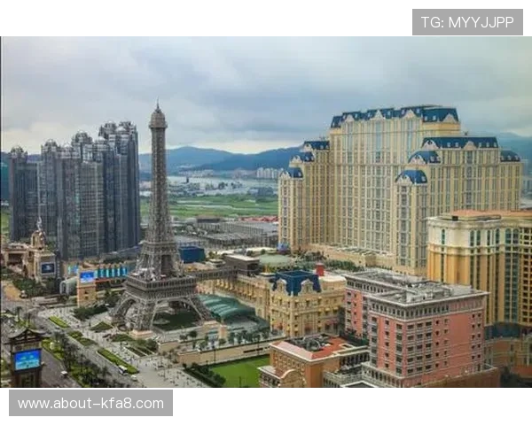 视讯龙虎二元选择攻略带你玩转高收益的未来收益模式